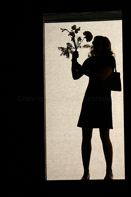 Dunkel lockende Welt