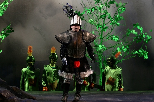 Das Geheimnis der Schwarzen Spinne