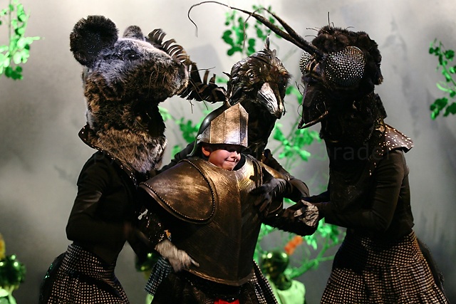 Das Geheimnis der Schwarzen Spinne