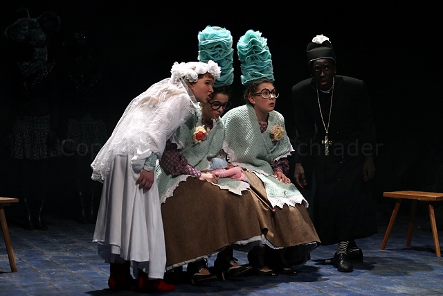 Das Geheimnis der Schwarzen Spinne