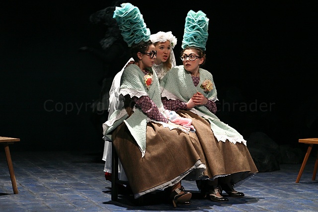 Das Geheimnis der Schwarzen Spinne