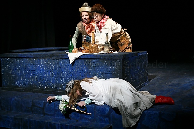 Das Geheimnis der Schwarzen Spinne